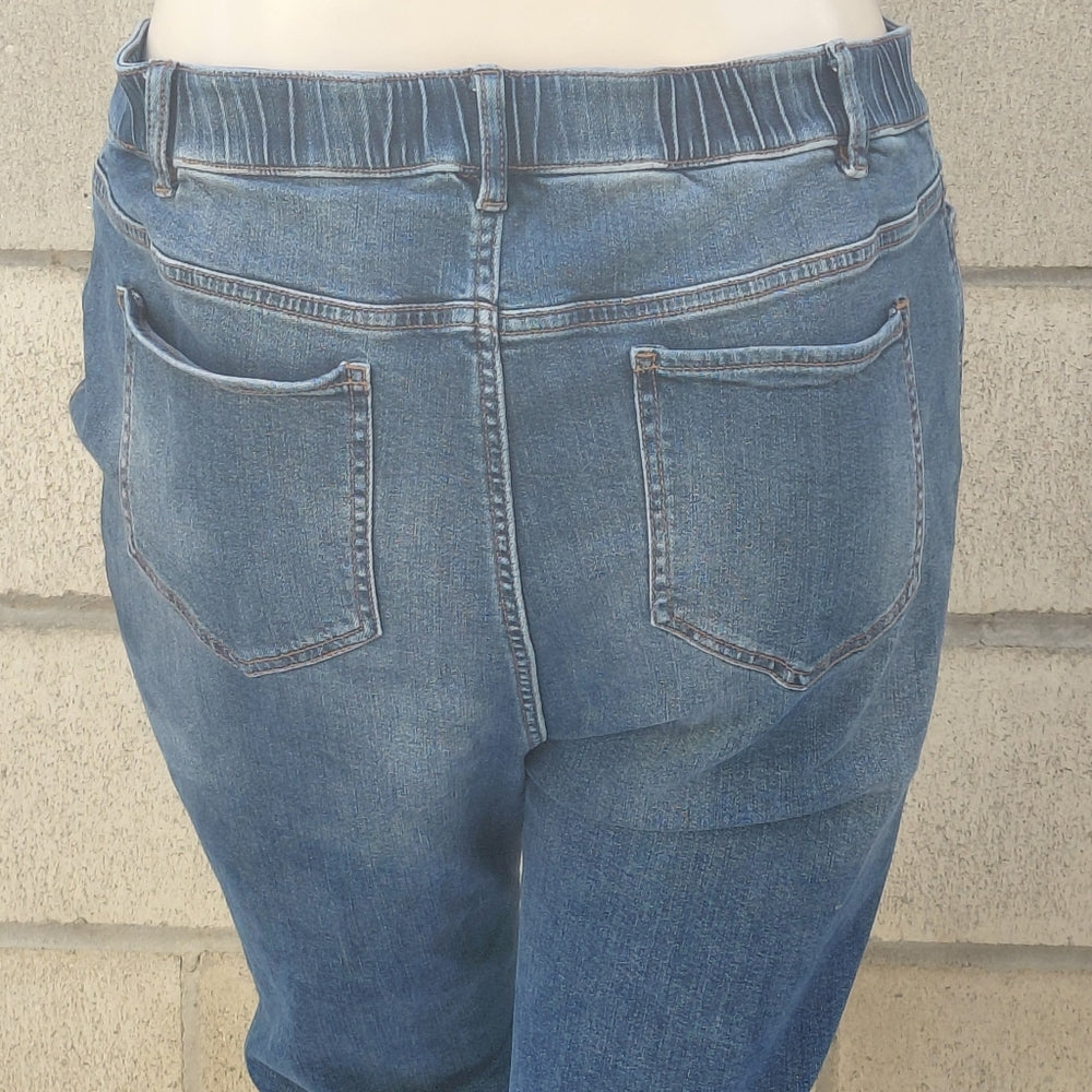 7036A...Women's J.Jill Straight Leg Jeans Size 16r