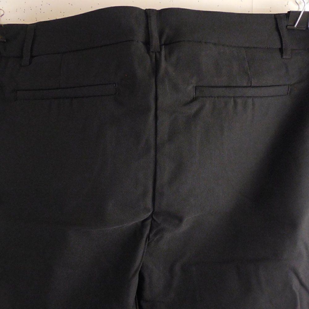 537912.....Adrienne Vittadini Slim Modern Fit Pants Size 10