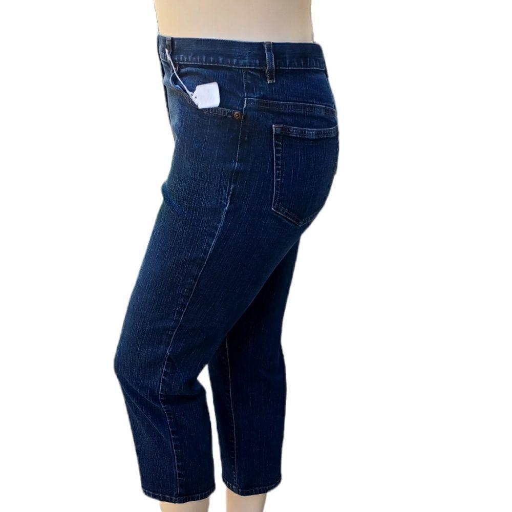 54344..Ann Taylor Crop Jeans Size 12P, 32" Waist 23" Inseam 10" Rise